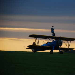 Elizabeth Lewis Wing Walk